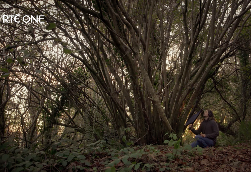 Séan Ronayne, seen in a trailer for the documentary film "Birdsong", set out in 2021 to record the sound of every native bird species in Ireland. "Birdsong" tracks Ronayne's travels throughout the island. (NCR screengrab/YouTube/RTÉ)