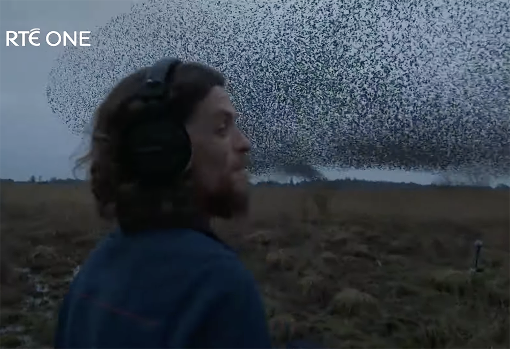 Irish ornithologist Séan Ronayne observes a murmuration in a trailer for the documentary "Birdsong." (NCR screengrab/YouTube/RTÉ)