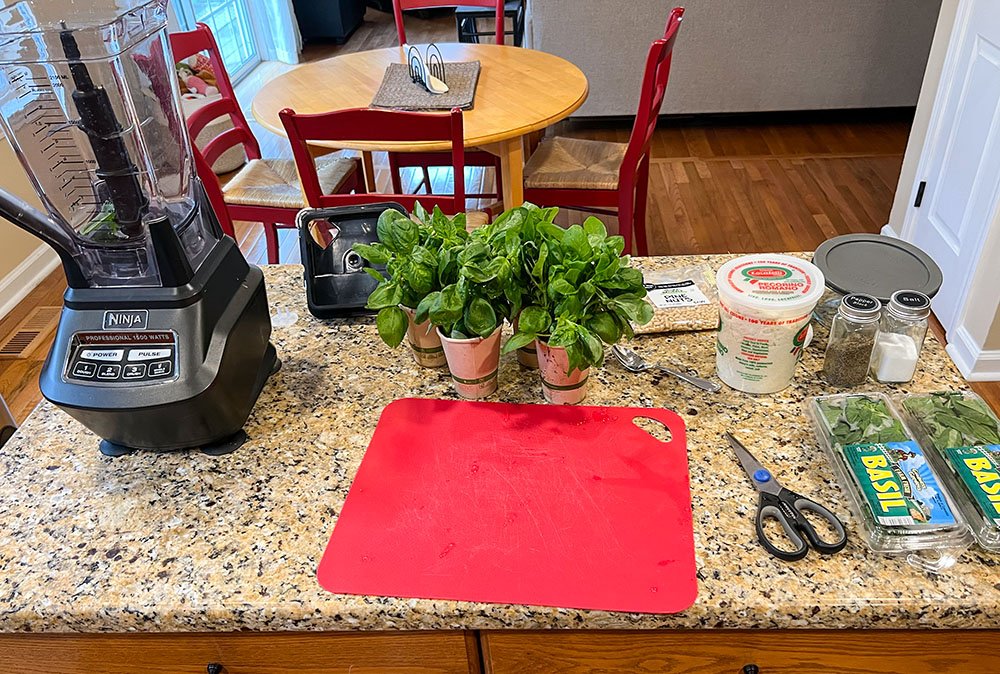 Preparations underway for making the Grosso family pesto recipe, which they traditionally serve on Good Friday (NCR photo/John Grosso)