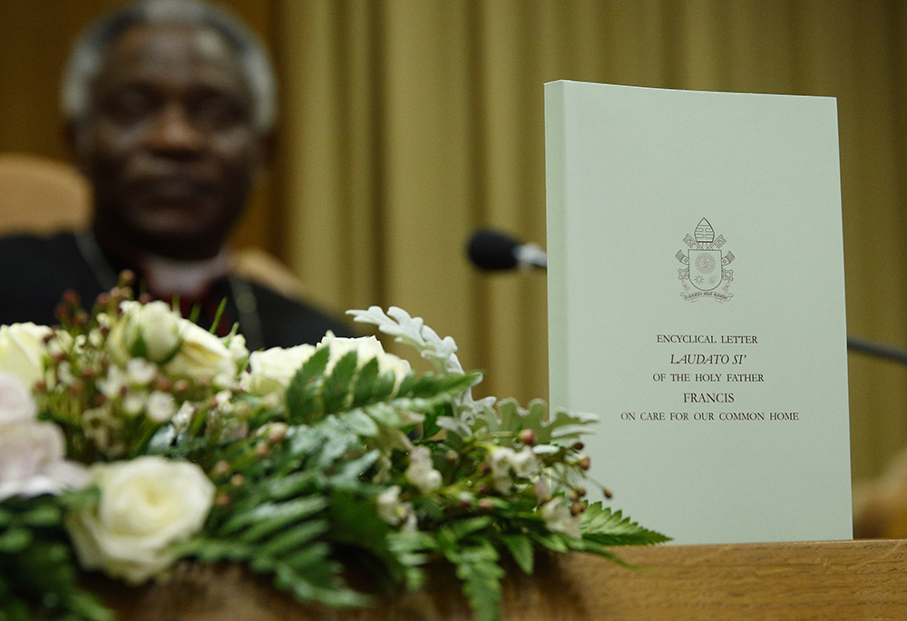 The English edition of "Laudato Si', on Care for Our Common Home," Pope Francis' encyclical on the environment is pictured during a news conference at the Vatican on June 18, 2015. At left is Cardinal Peter Turkson. (CNS/Paul Haring)