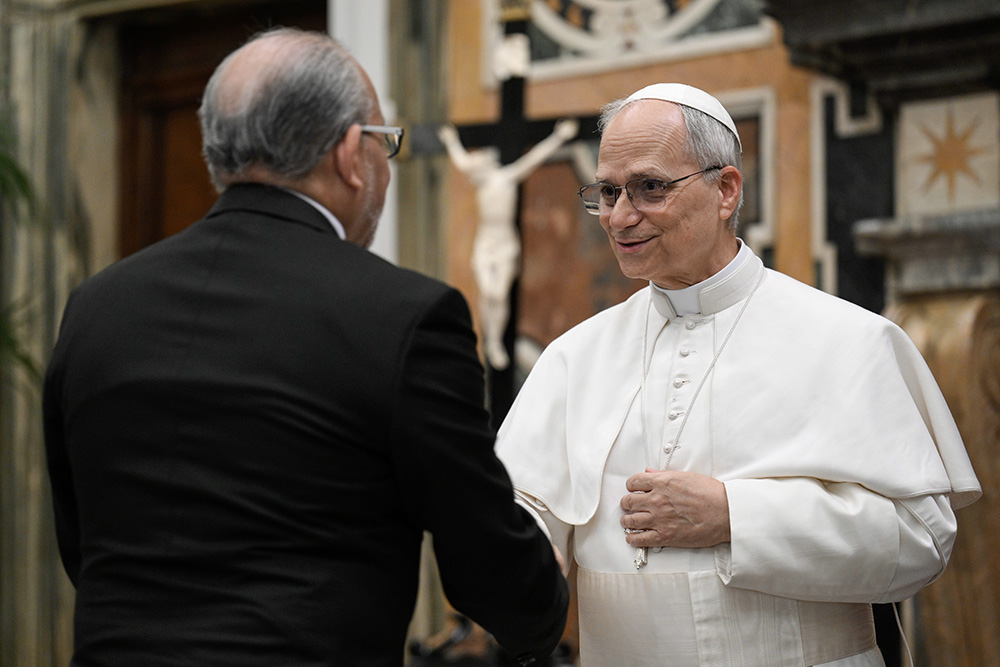 Pope Leo XIV greets a diplomat during an audience with the Vatican diplomatic corps in the Apostolic Palace's Clementine Hall at the Vatican May 16, 2025. (CNS/Vatican Media)