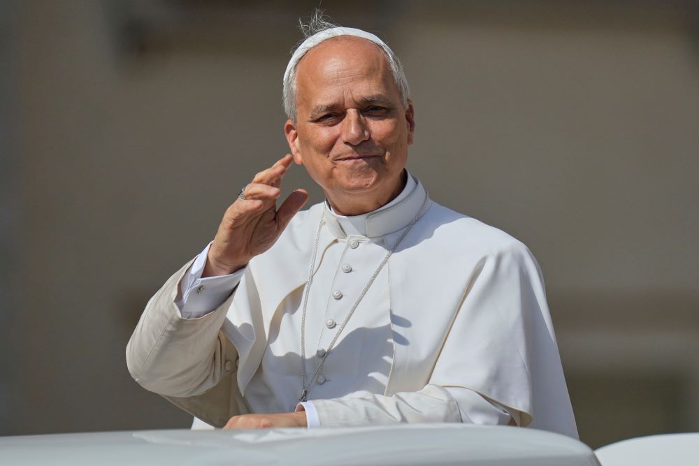 Pope Leo Pope Leo