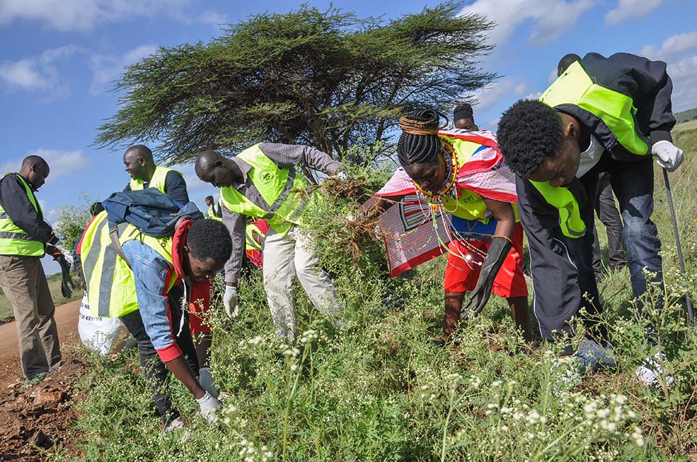 Members of the Laudato Si' Movement and others pull out weeds at the Nairobi National Park in Kenya June 4, 2022, as part of World Environment Day cleanup. (CNS/Fredrick Nzwili)
