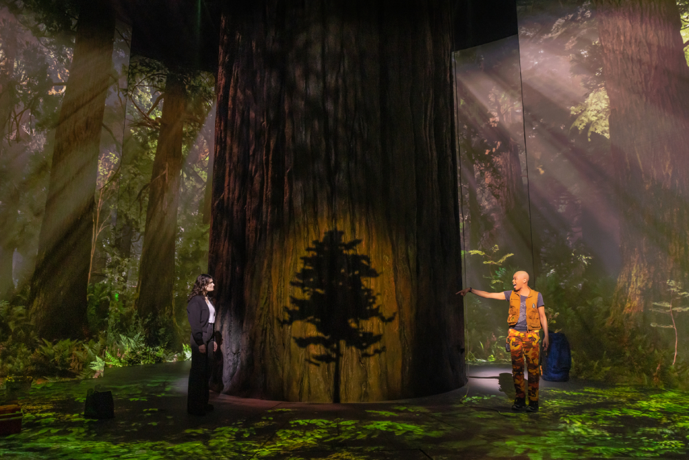 Idina Menzel (Jesse) and Khalia Wilcoxon (Becca) Idina Menzel (Jesse) and Khalia Wilcoxon (Becca) standing on opposite sides of a redwood tree on the set of the Broadway musical "Redwood." (Matthew Murphy and Evan Zimmerman)