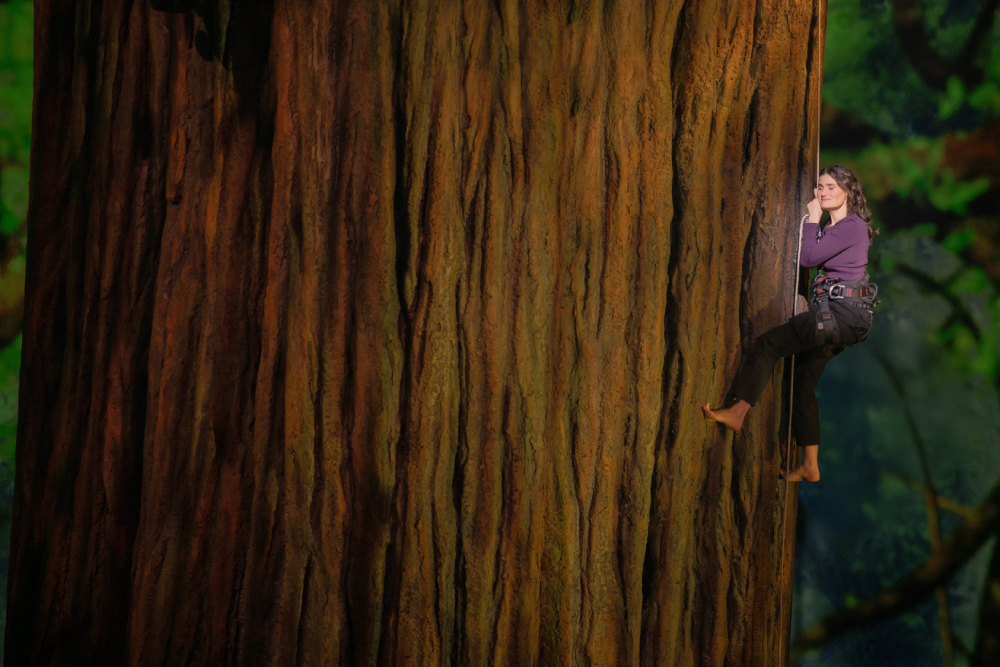 Idina Menzel hanging from a redwood tree Idina Menzel as Jesse in the Broadway musical "Redwood." (Matthew Murphy and Evan Zimmerman)