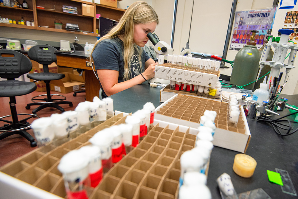 SURVE student Jordn Wolsky is pictured performing microscopy in the lab at University of Mary in Bismarck, N.D., June 18, 2024. (OSV News/Courtesy University of Mary/Mike McCleary)