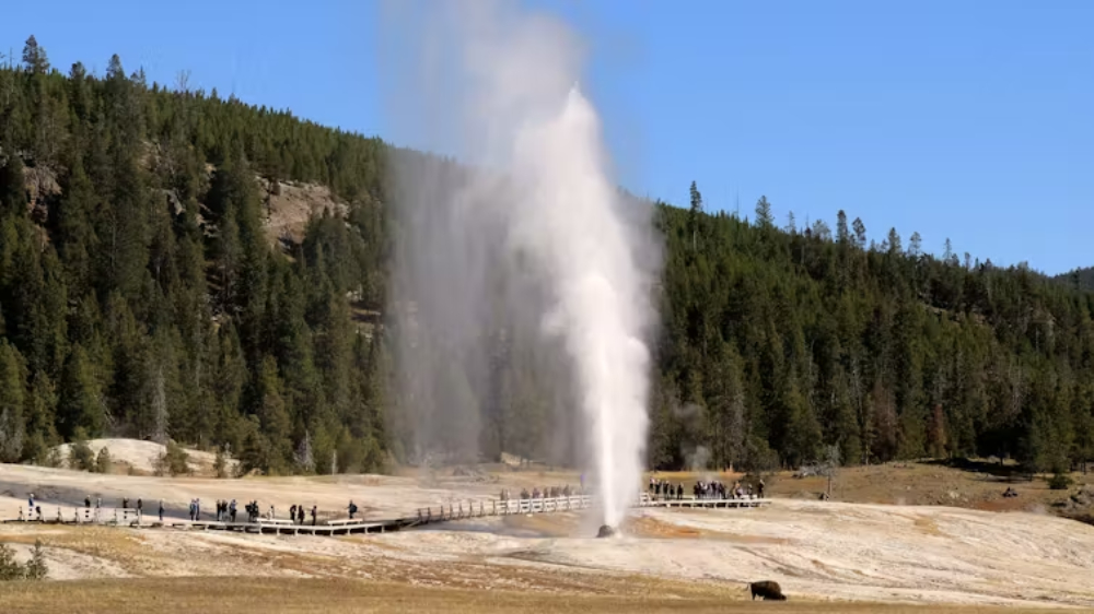 Beehive Geyser Beehive Geyser, in the Upper Geyser Basin of Yellowstone National Park. (Thomas S. Bremer)