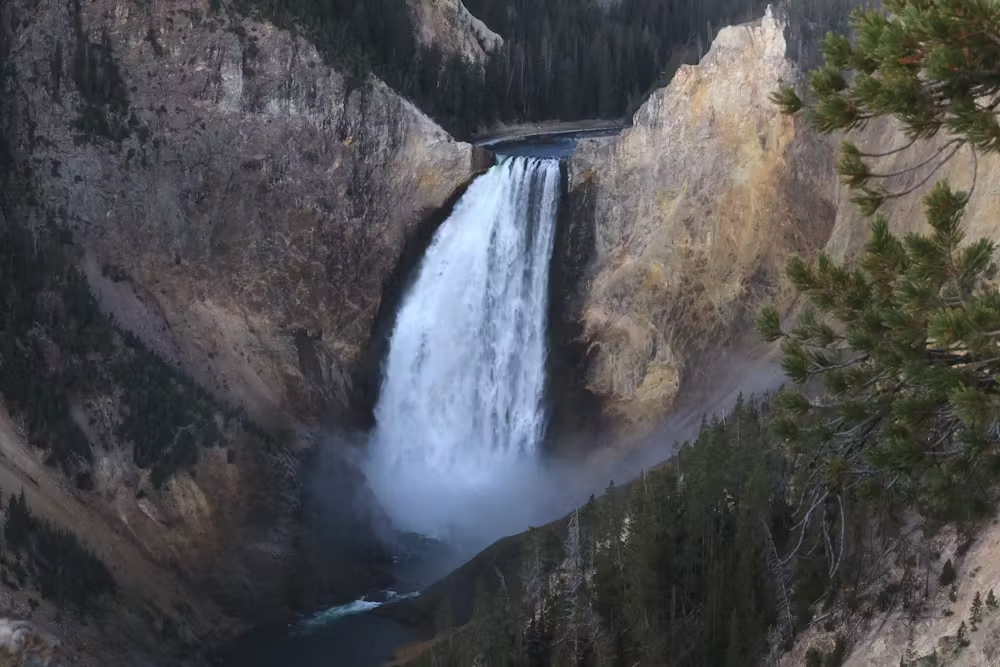 Lower Falls of the Yellowstone River Lower Falls of the Yellowstone River, Yellowstone National Park. Thomas S. Bremer