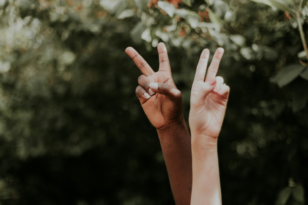 Two hands making the peace sign side by side.