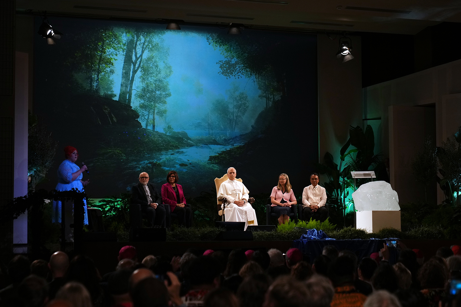 Pope Leo embraces Francis' concerns on global warming and the environment