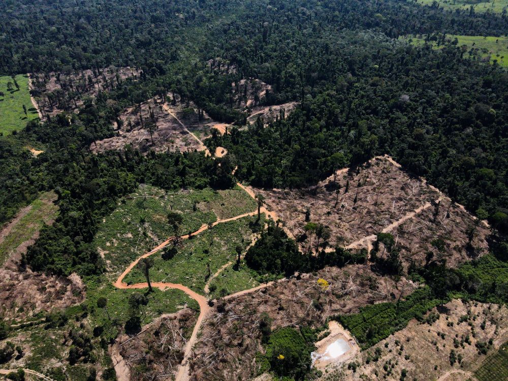 A view of the Amazon