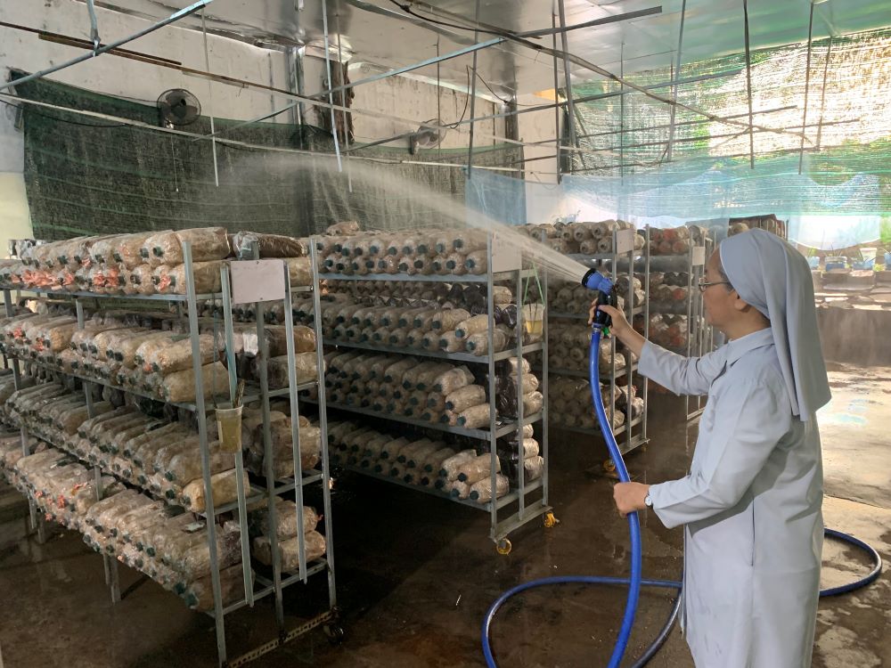 Sr. Agathe Tran Thi Mong Huyen waters mushroom growing bags on shelves arranged in neat rows in the sisters' mushroom-growing house in Ho Chi Minh City, Vietnam. The sisters started growing mushrooms in August. (Courtesy of Marie Nguyen Thi Minh Hoa)