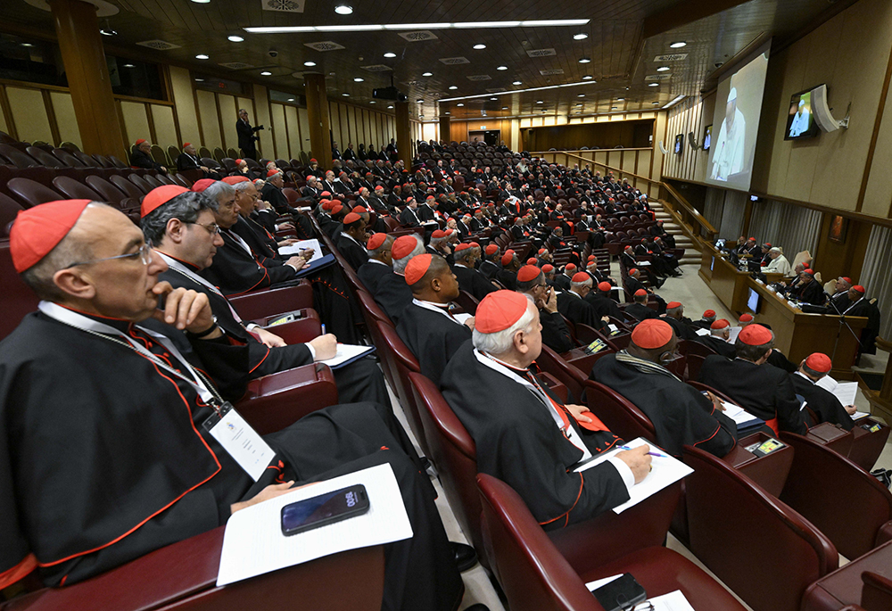 Cardinals from around the world attend a Jan. 8, 2026, session of a consistory with Pope Leo XIV at the Vatican, held Jan. 7-8. (OSV News/Vatican Media/Simone Risoluti)