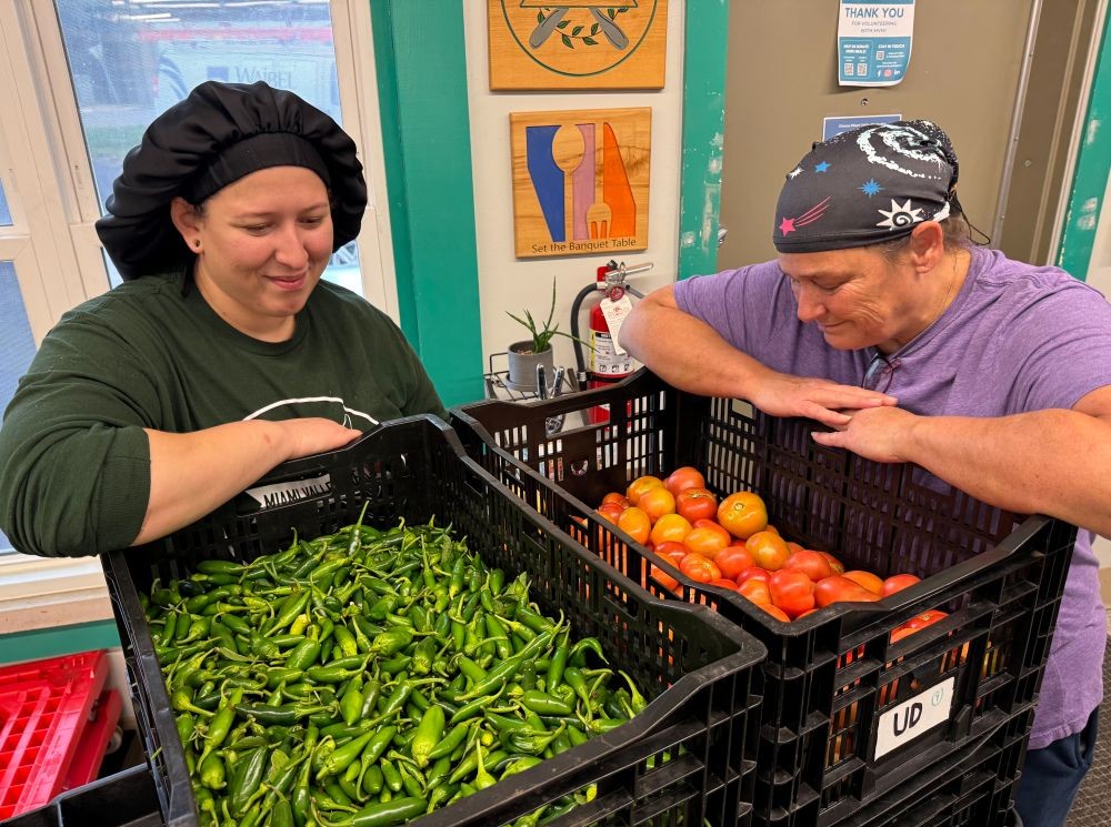 Crates of peppers and tomatoes from the University of Dayton's Flyer Farm are delivered to Miami Valley Meals, a nonprofit kitchen where chefs prepare meals for bulk distribution through local partners for people experiencing food insecurity. (Courtesy of Miami Valley Meals)