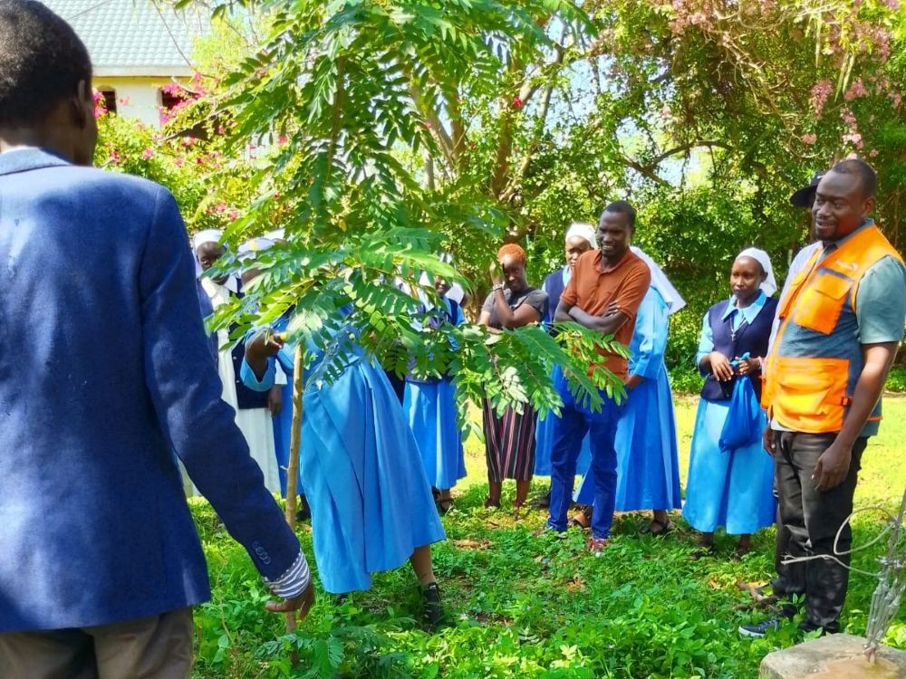 Participants watch a demonstration on proper tree pruning techniques as part of the farmer-managed natural regeneration training organized by Institute of the Holy Trinity Sisters in Isiolo County, Kenya. (Courtesy of Sr. Catherine Ciingi)