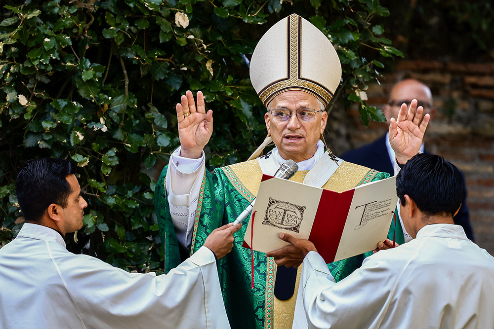 Pope Leo XIV leads the Mass for the Care of Creation, in Castel Gandolfo, Italy, July 9, 2025. (Pool Via AP/Yara Nardi)