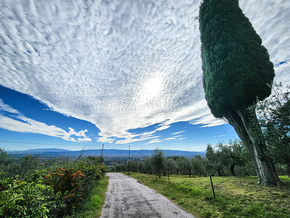 The view outside the Church of San Damiano near Assisi, Italy, on Oct. 4, 2025, the feast day of St. Francis of Assisi. (NCR photo/Brian Roewe)