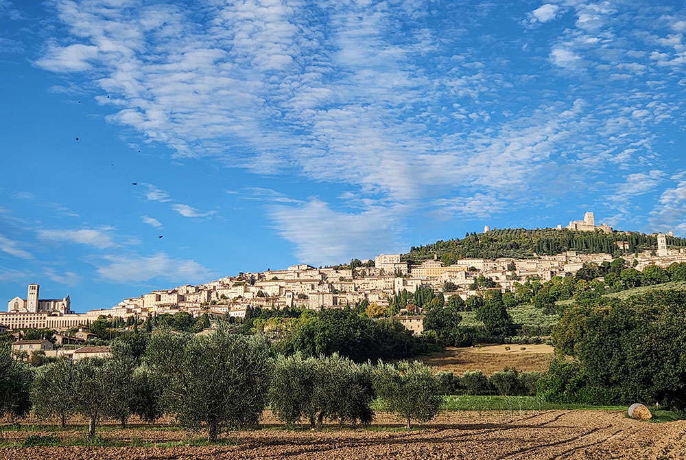 Birds fly over Assisi, Italy, on the feast of St. Francis on Oct. 4, 2025. (NCR photo/Brian Roewe)