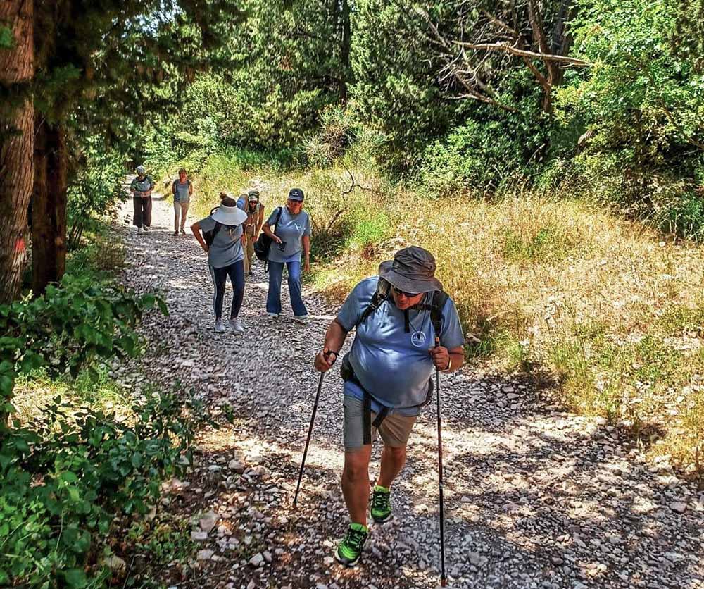 Pilgrims with Terra Laudato Si' hike in the forests outside Assisi, Italy. (Courtesy of Terra Laudato Si')
