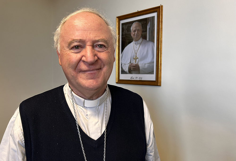 Archbishop Renzo Pegoraro, president of the Pontifical Academy for Life (NCR photo/Justin McLellan)