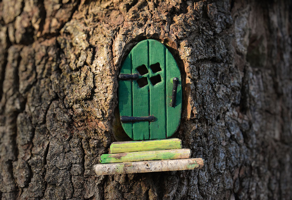 Small green wooden fairy door set in a tree trunk (Dreamstime/Amani A)