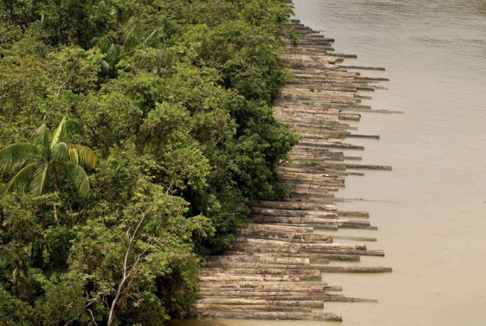 Illegally logged timber, which had been confiscated, is floated down the Guamá River Delta in the northeastern state of Para, Brazil, in this April 14, 2010, file photo. (CNS/Reuters/Paulo Santos)