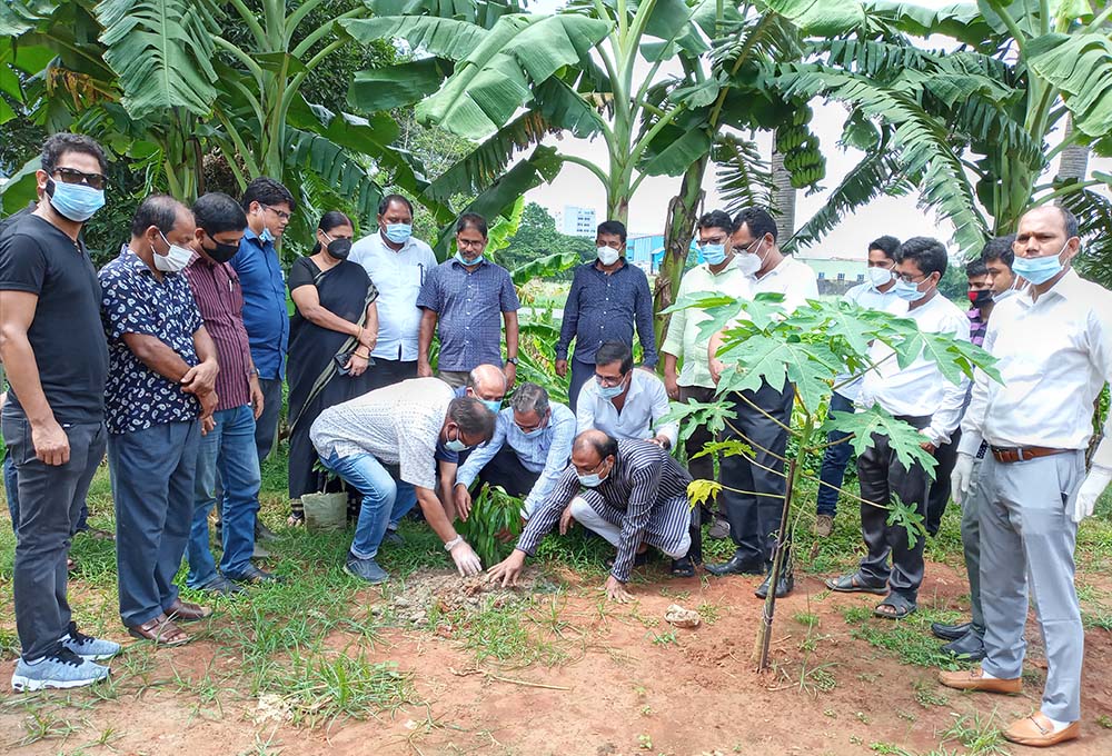 Catholics plant trees in Dhaka, Bangladesh. (Sumon Corraya)