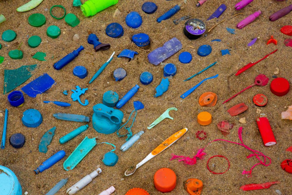 This plastic was collected during a 2019 harbor cleanup in Hamilton, Ontario. A World Economic Forum study found that plastics in the ocean could outweigh fish by 2050. (Unsplash/Jasmin Sessler)