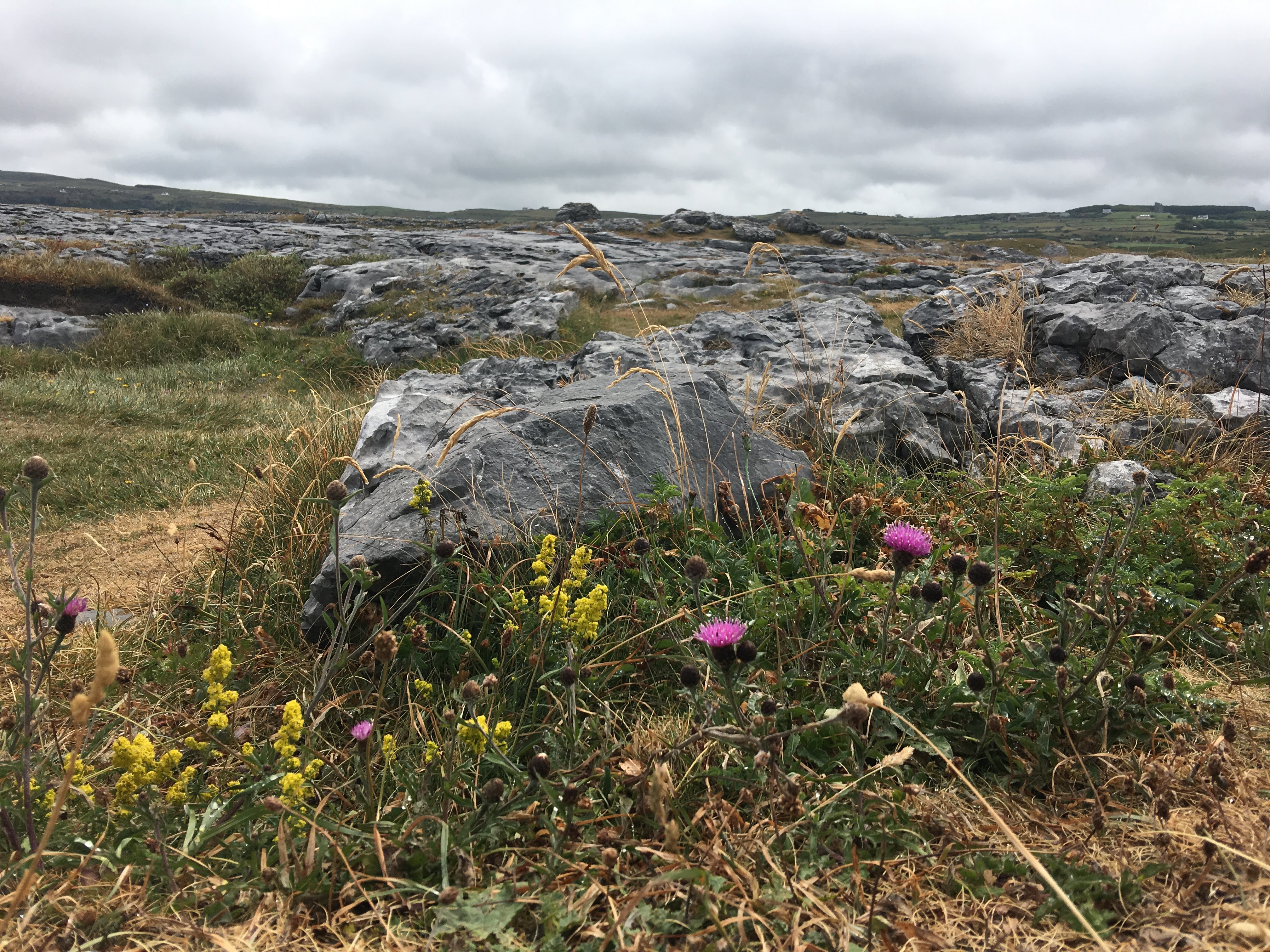 The Burren The Burren