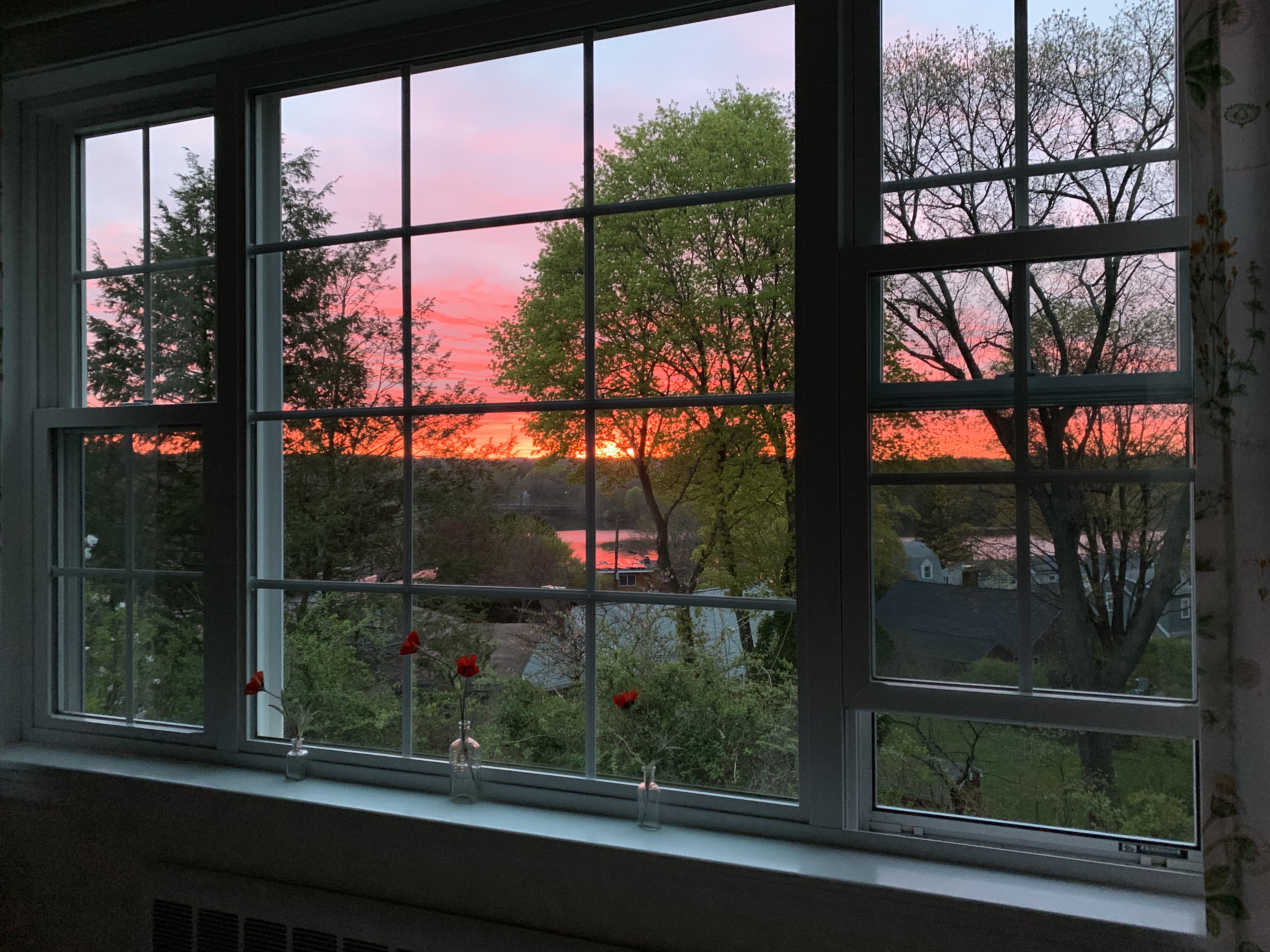 sunrise from a river sunrise from a window