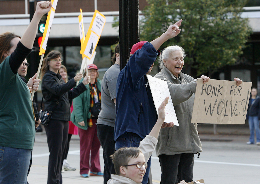 Demonstrators take part in a wolf hunt protest in Madison, Wisconsin, in 2013. Environmental and Native American groups have filed lawsuits in an effort to stop this year's hunt. (The Capital Times/Michelle Stocker via AP)