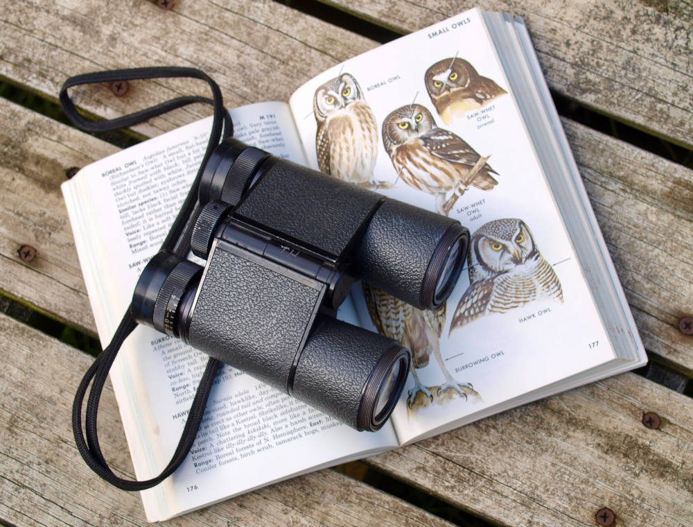Binoculars sit on a bird field guide book. (Diane Helentjaris/Unsplash/Creative Commons) Binoculars sit on a bird field guide book. (Diane Helentjaris/Unsplash/Creative Commons)