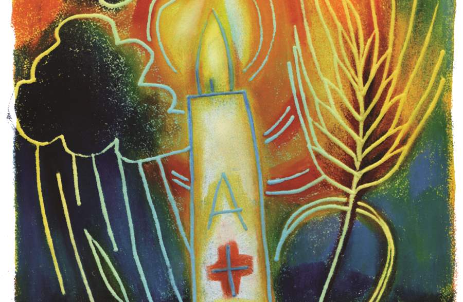 Art by Julie Lonneman