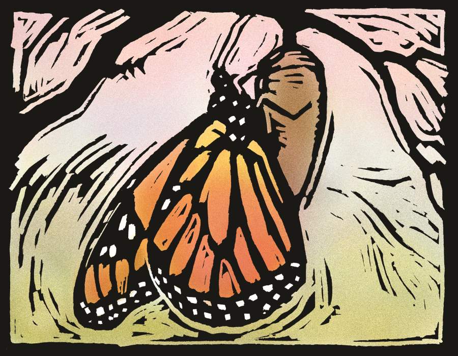 Art by Julie Lonneman