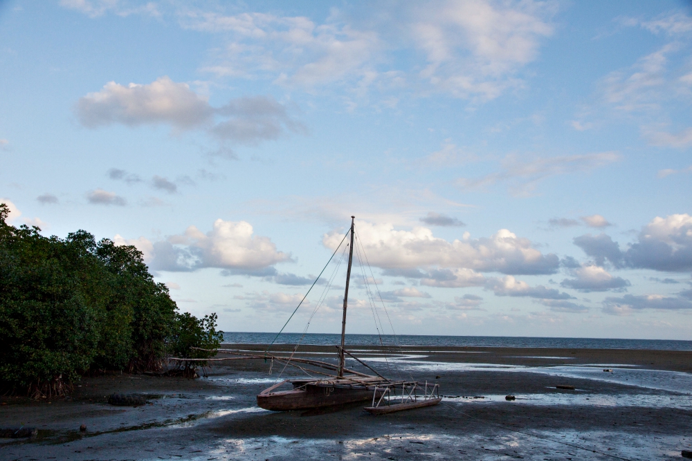A beach in Suva, Fiji (Wikimedia Commons/Matthias Süßen) A beach in Suva, Fiji (Wikimedia Commons/Matthias Süßen)