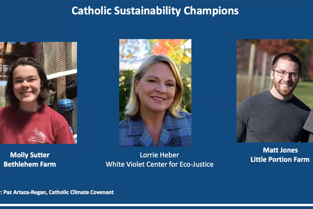 During a webinar June 23 sponsored by Catholic Climate Covenant, representatives from three of CCC's "sustainability champions" spoke on farm-related projects where Catholics are living out Laudato Si'. From left: Molly Sutter of Bethlehem Farm; Lorrie He During a webinar June 23 sponsored by Catholic Climate Covenant, representatives from three of CCC's "sustainability champions" spoke on farm-related projects where Catholics are living out Laudato Si'. From left: Molly Sutter of Bethlehem Farm; Lorrie He