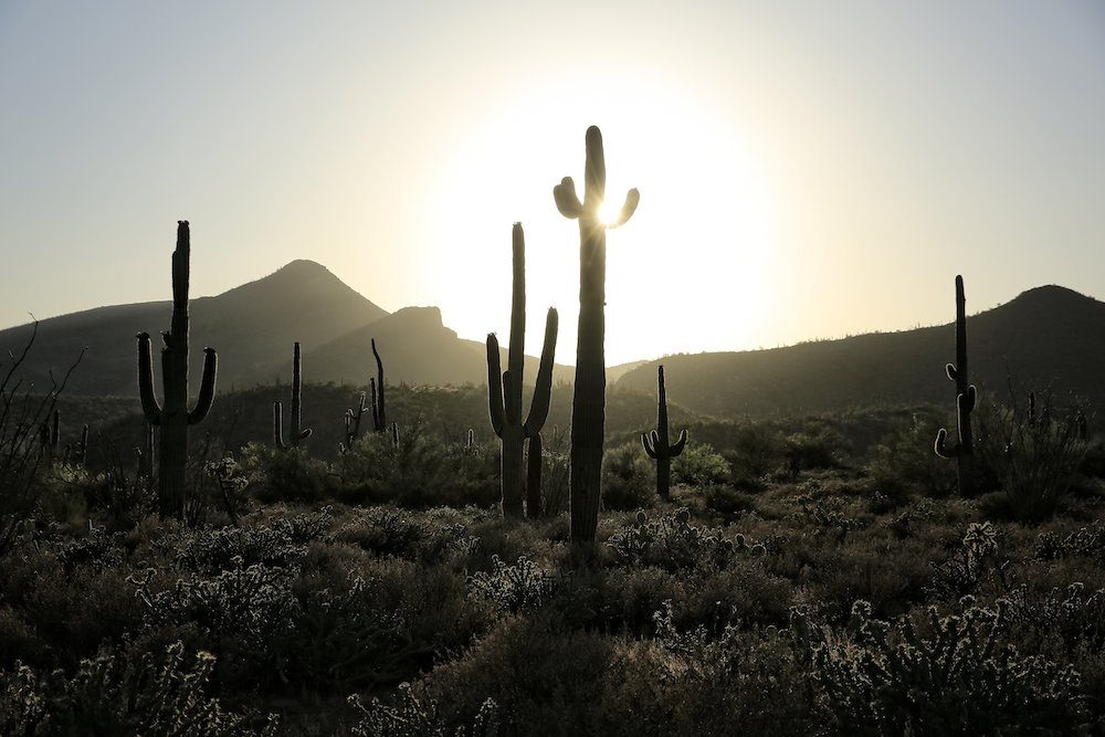 The sun sets behind a desert view in the Spur Cross Ranch Conservation Area in Cave Creek, Arizona. Lent also represents an in-between time. Jesus takes to the desert in the period between his baptism and his public ministry. (CNS/Nancy Wiechec)