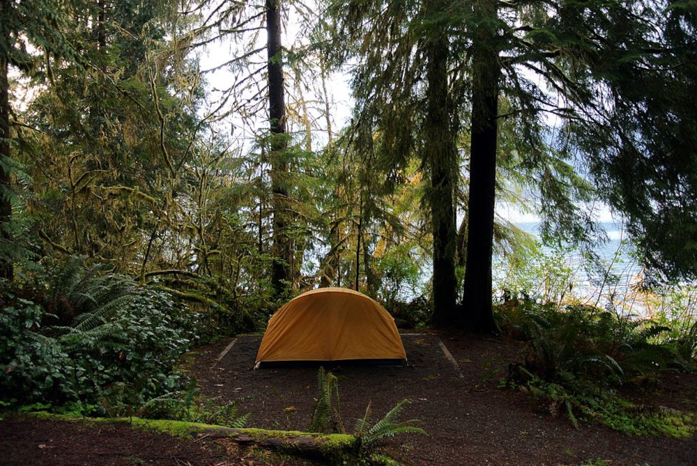 Camping site on the shores of Lake Quinault, Olympic National Park. (Wikimedia Commons/Adbar/CC BY-SA 3.0, https://creativecommons.org/licenses/by-sa/3.0)