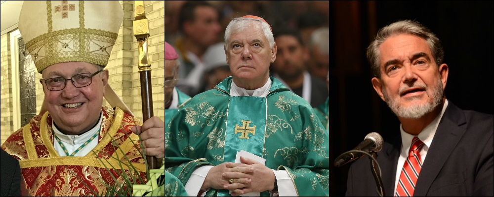 Scheduled speakers for the Napa Institute's "Authentic Reform" conference include (from left): Bishop Robert Morlino, Cardinal Gerhard Müller and Scott Hahn. (CNS photos)