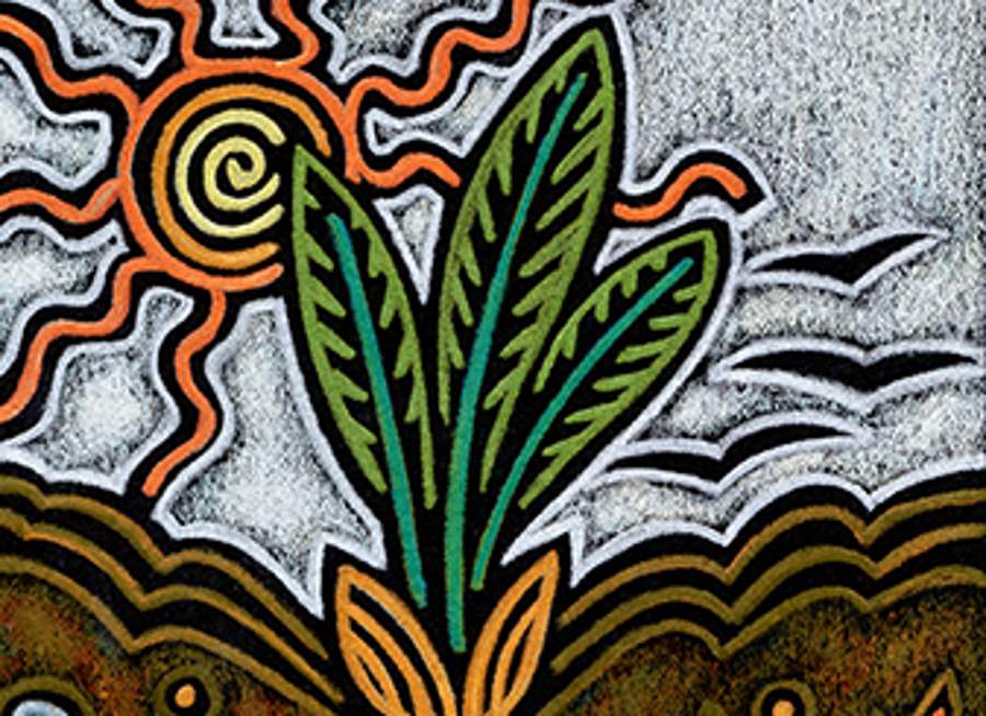 Art by Julie Lonneman