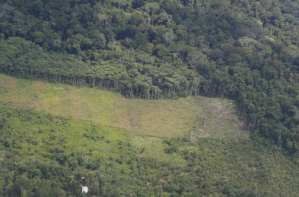A deforested area is seen in this aerial view of Puerto Maldonado, Peru. Environmental issues will have a central role when Catholic leaders gather Nov. 21-28, 2021 in Mexico City for the Sixth Ecclesial Assembly of Latin America and the Caribbean. (CNS p