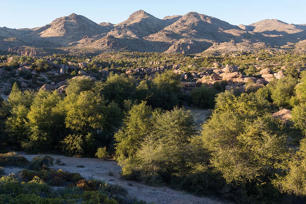 A view of Oak Flat in the Tonto National Forest in Arizona (Wikimedia Commons/Elias Butler)