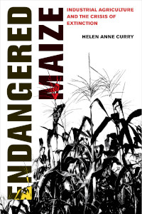 Book cover of "Endangered Maize"