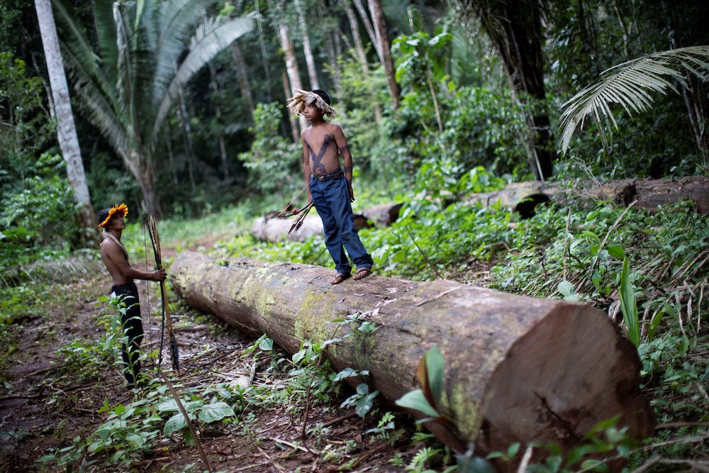 A man and boy of the Uru-eu-wau-wau tribe inspect an area deforested by invaders on Indigenous land near Campo Novo de Rondônia, Brazil, in 2019. (CNS photo/Ueslei Marcelino, Reuters)