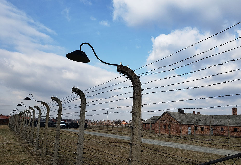Barbed wire near the Birkenau section of the Auschwitz-Birkenau concentration-death camp in Poland (NCR photo/Chris Herlinger)