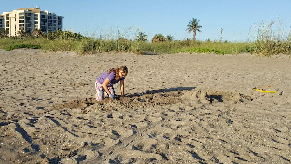Carly Batts, a field technician with Ecological Associates, checks and marks a loggerhead sea turtle on Hutchison Island, Florida near Fort Pierce. All EA's turtle research and monitoring is done with under special permits from the Florida Wildlife Conse Carly Batts, a field technician with Ecological Associates, checks and marks a loggerhead sea turtle on Hutchison Island, Florida near Fort Pierce. All EA's turtle research and monitoring is done with under special permits from the Florida Wildlife Conse