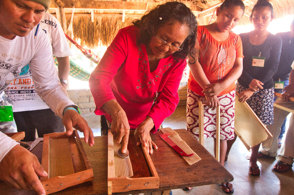 Guyanese villagers who collect wild honey by setting fires to smoke out bees learn to build beehives to avoid wildfire risk. (NCR photo/Barbara Fraser)