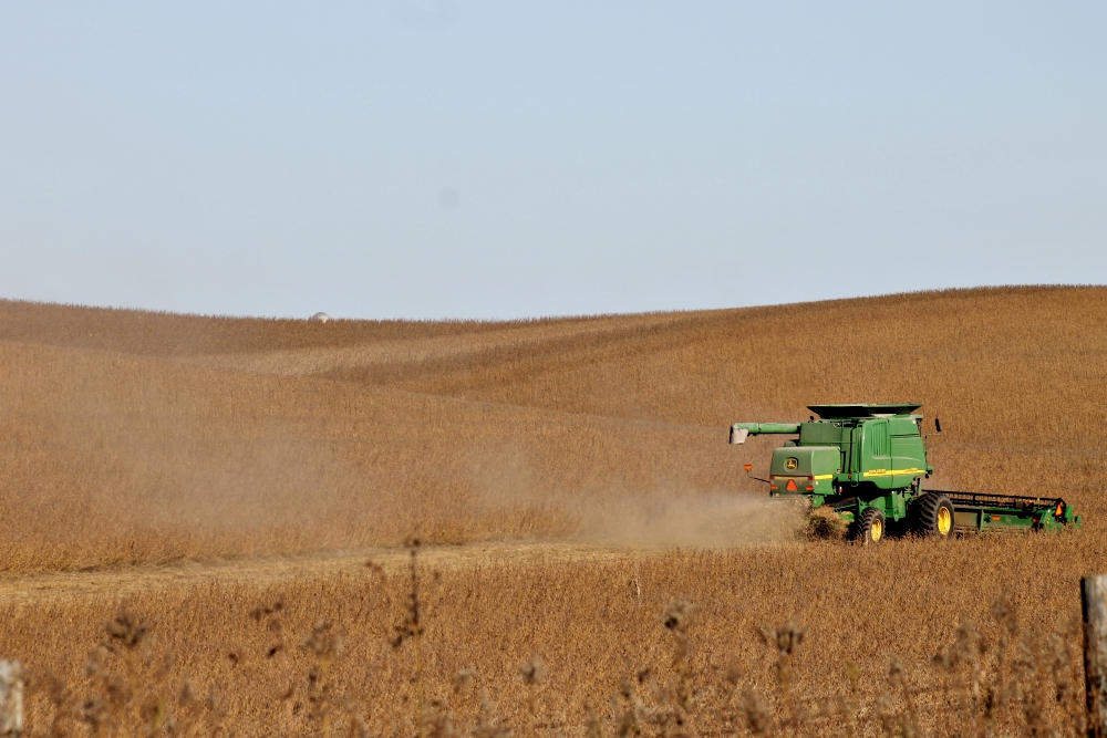 A combine harvests a soybean field Oct. 18 outside Dyersville, Iowa. Soybeans are one of the commodities hit with a tariff from China as part of its ongoing trade dispute with the U.S. (NCR photo/Brian Roewe)