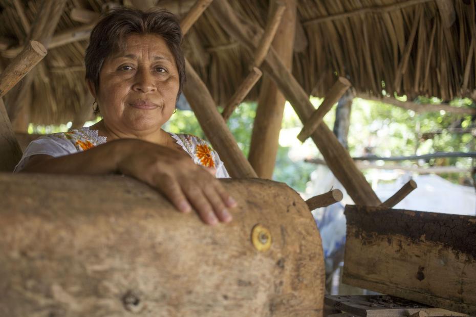 Leydy Pech, a Mayan beekeeper, led a fight against plantations of genetically modified soy that were decimating wild bees in her region of Mexico. (Robin Canul for AIDA)