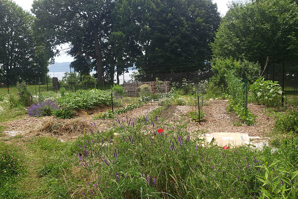 The land included in the Dominican Sisters' conservation easement includes a quarter-acre garden. (EarthBeat photo/Chris Herlinger)